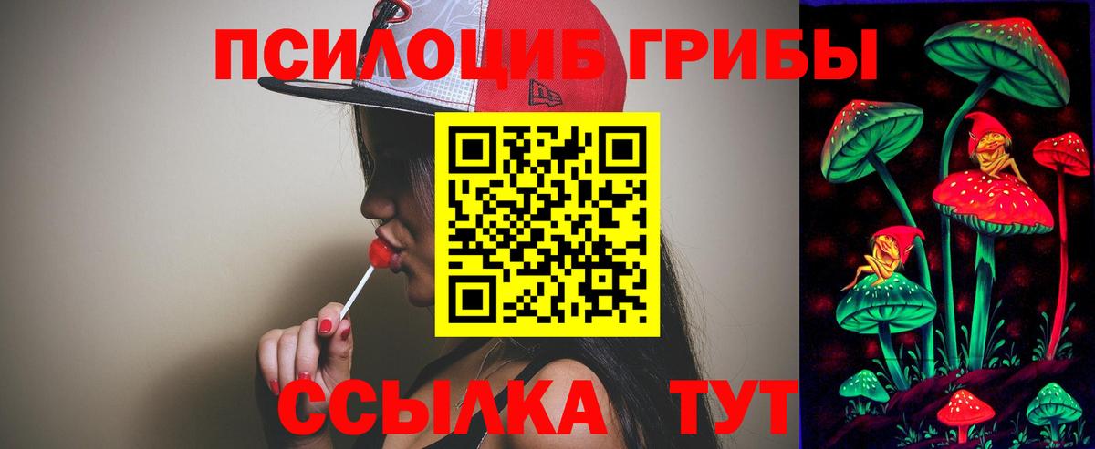 Псилоцибиновые грибы MAGIC MUSHROOMS  Вход с VPN  Волхов 