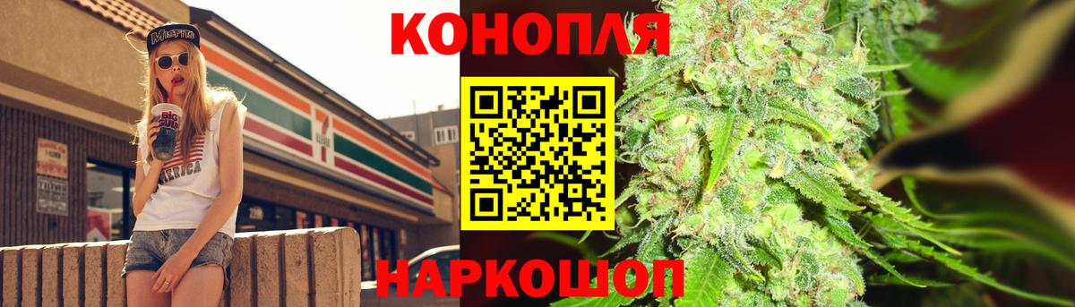 МАРИХУАНА план Волхов